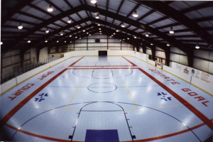 hockey rink-NY100.jpg - Minority Sports Initiative